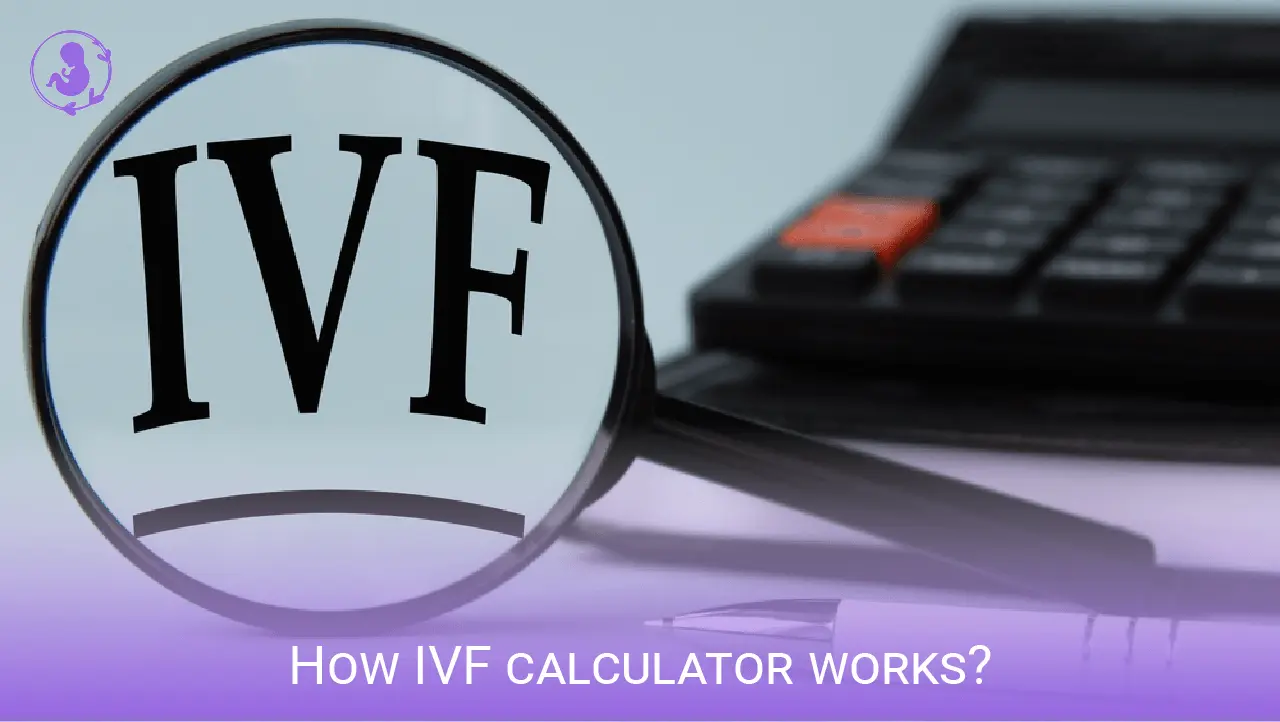 How IVF calculator works