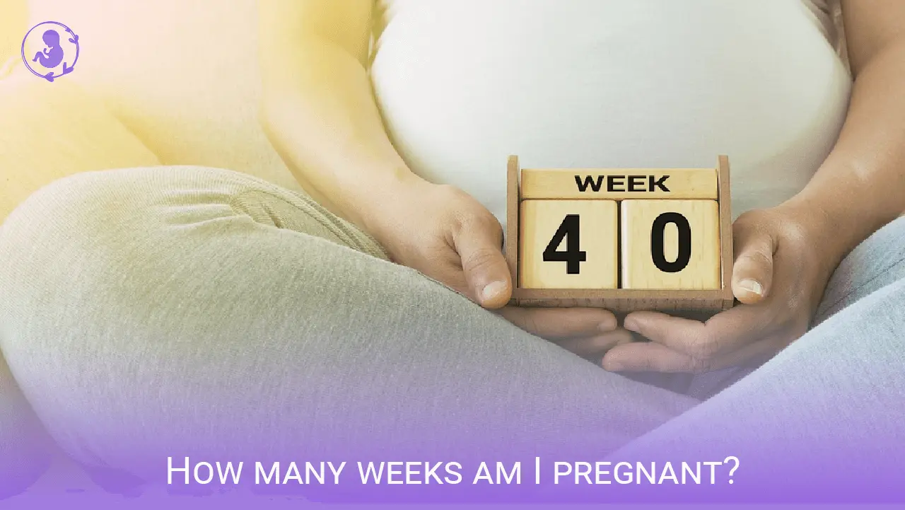 How many weeks am I pregnant Based on due date calculator