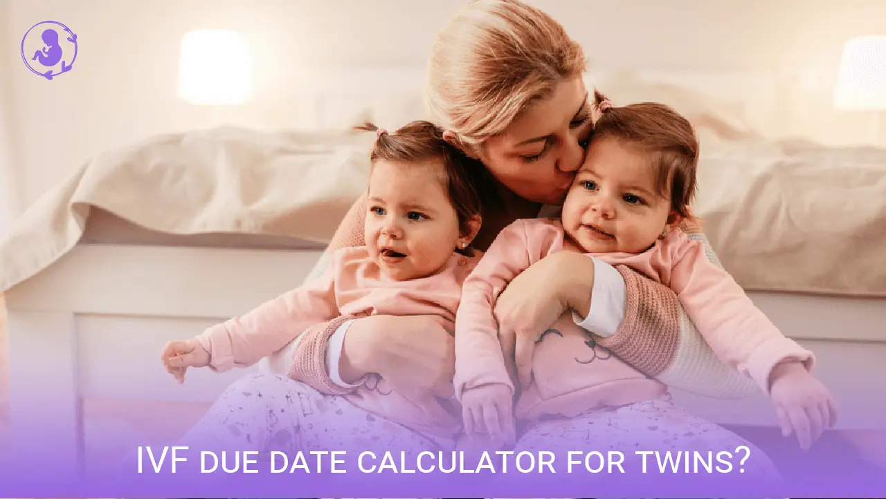 IVF due date calculator for twins