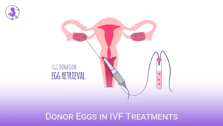 Donor Eggs in IVF Treatments