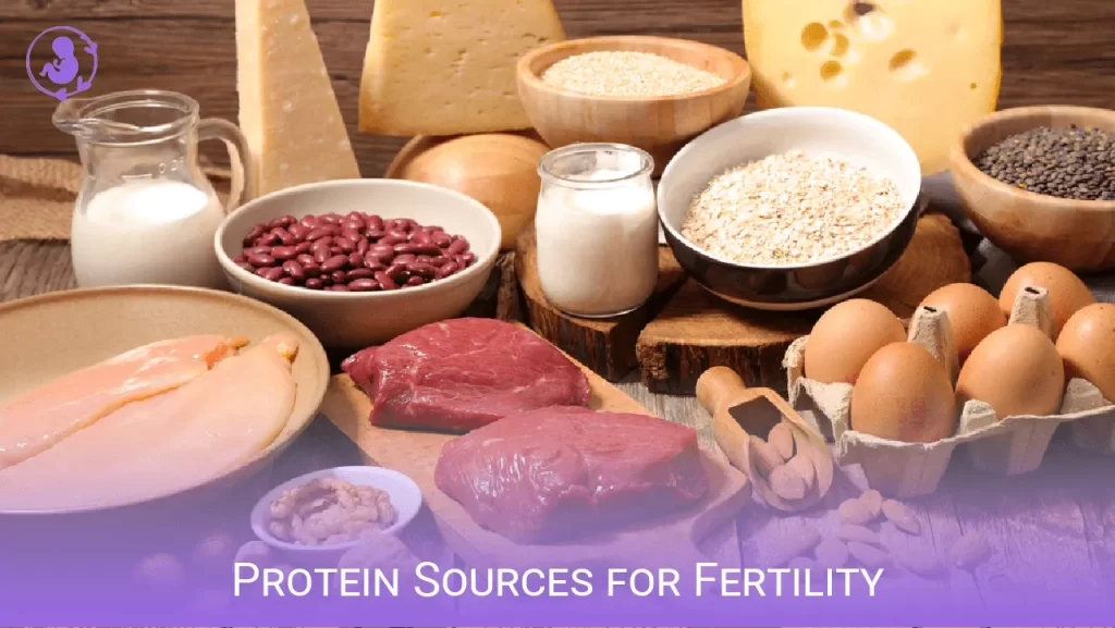 Protein Sources for Fertility