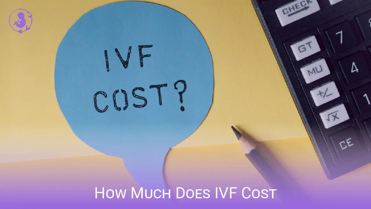 How Much Does IVF Cost